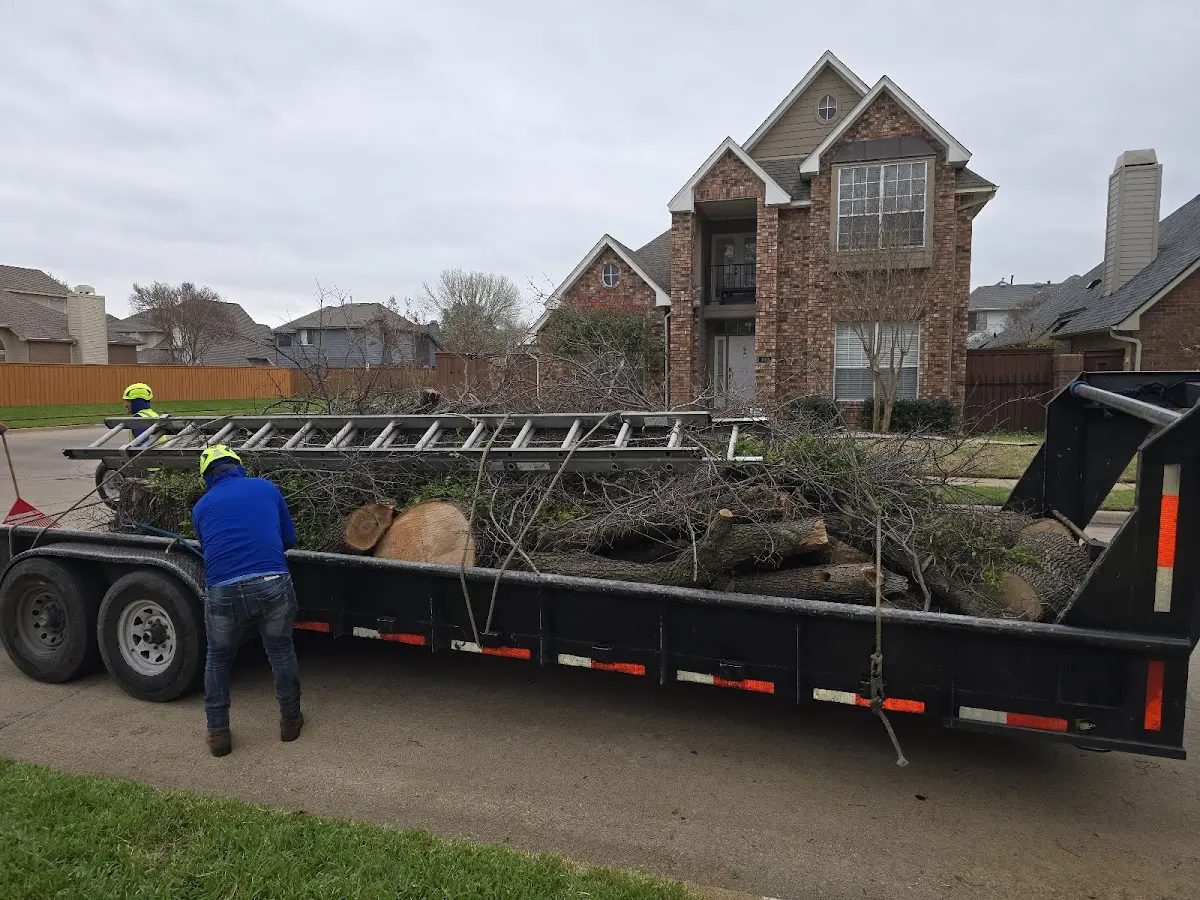 Expert Tree Removal with proper safety equipment in Dycusburg